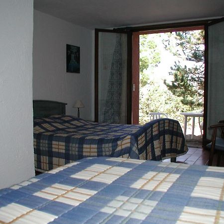 Chambres D'Hote L'Amandiere A Cucugnan Zewnętrze zdjęcie